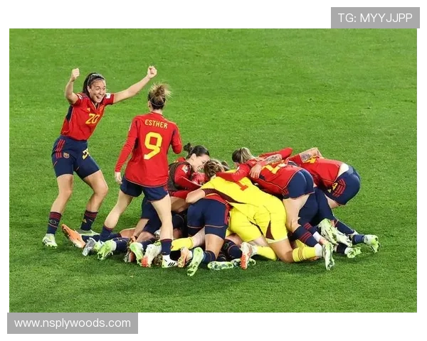 世界杯新闻报道最新动态全面解析引领全球关注