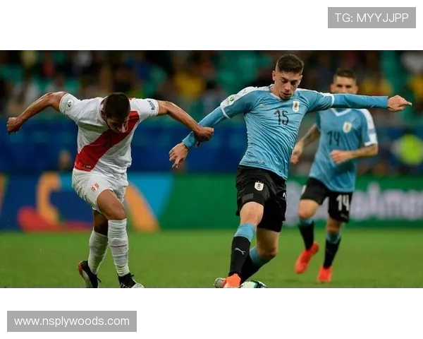 世界杯韩国对乌拉圭比赛全场回放在线观看，精彩比赛精彩瞬间尽收眼底