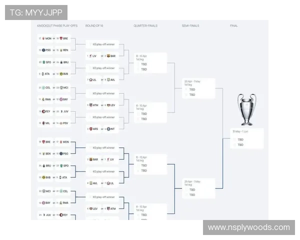 世界杯淘汰赛抽签规则详解，揭示抽签环节中的公平性与随机性保障措施